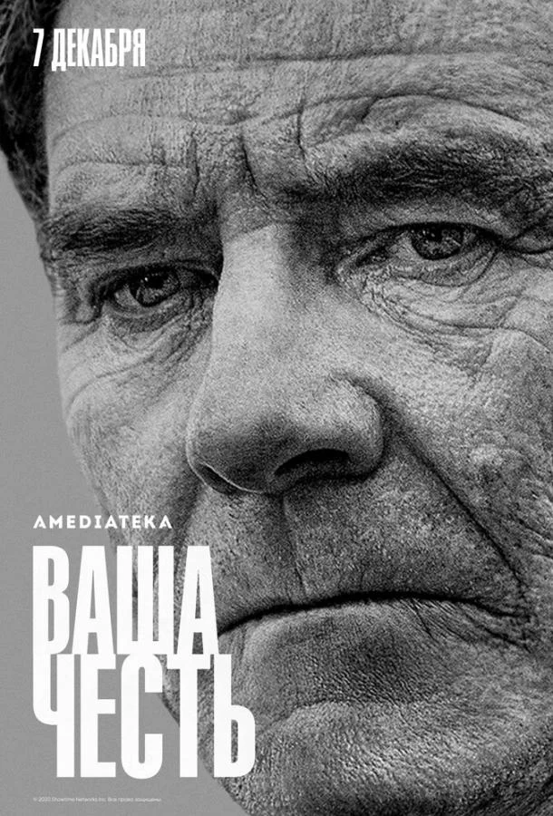 Постер Ваша честь