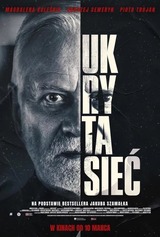 Постер Скрытая сеть