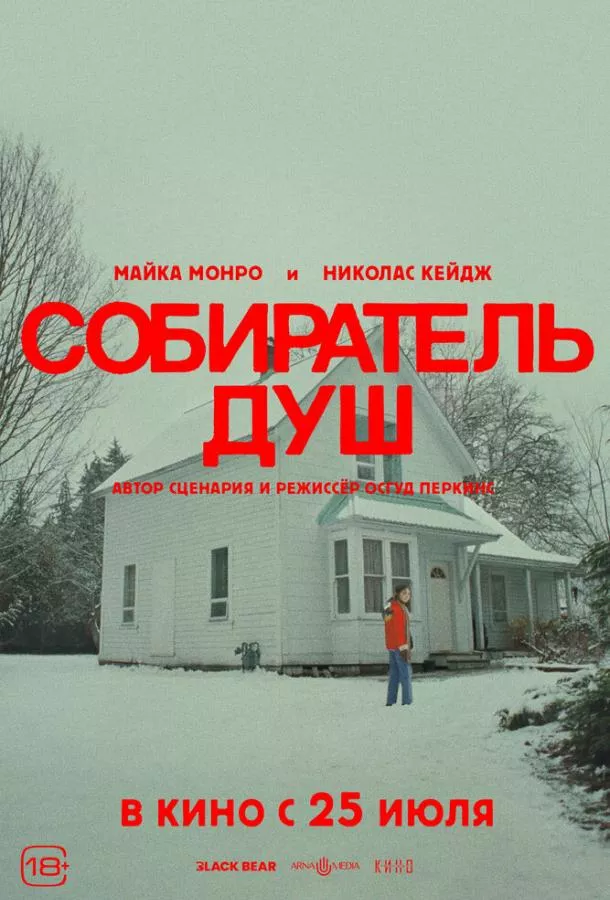 Постер Собиратель душ