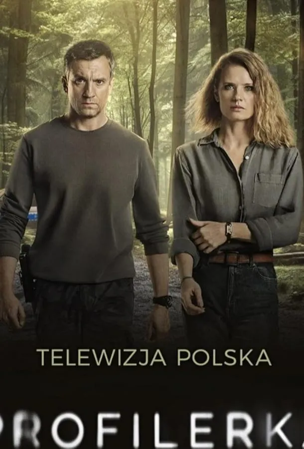 Постер Профайлер