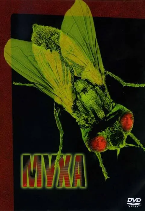 Постер Муха