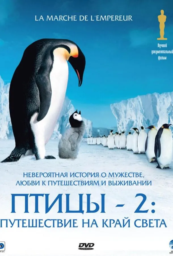 Постер Птицы 2: Путешествие на край света