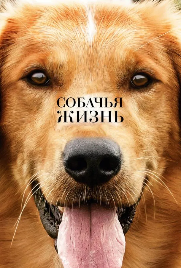 Постер Собачья жизнь
