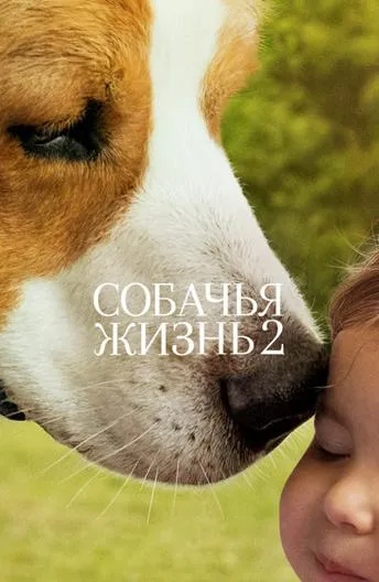 Постер Собачья жизнь 2
