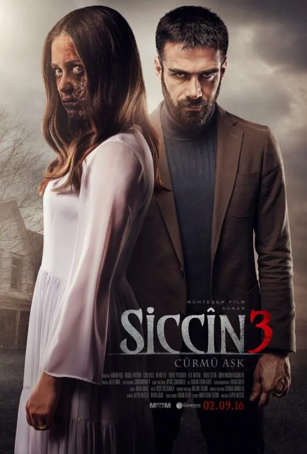 Постер Сиджин 3