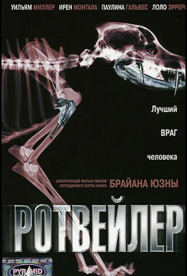 Постер Ротвейлер